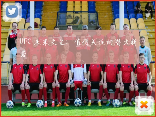 UFC 未来之星:值得关注的潜力新秀